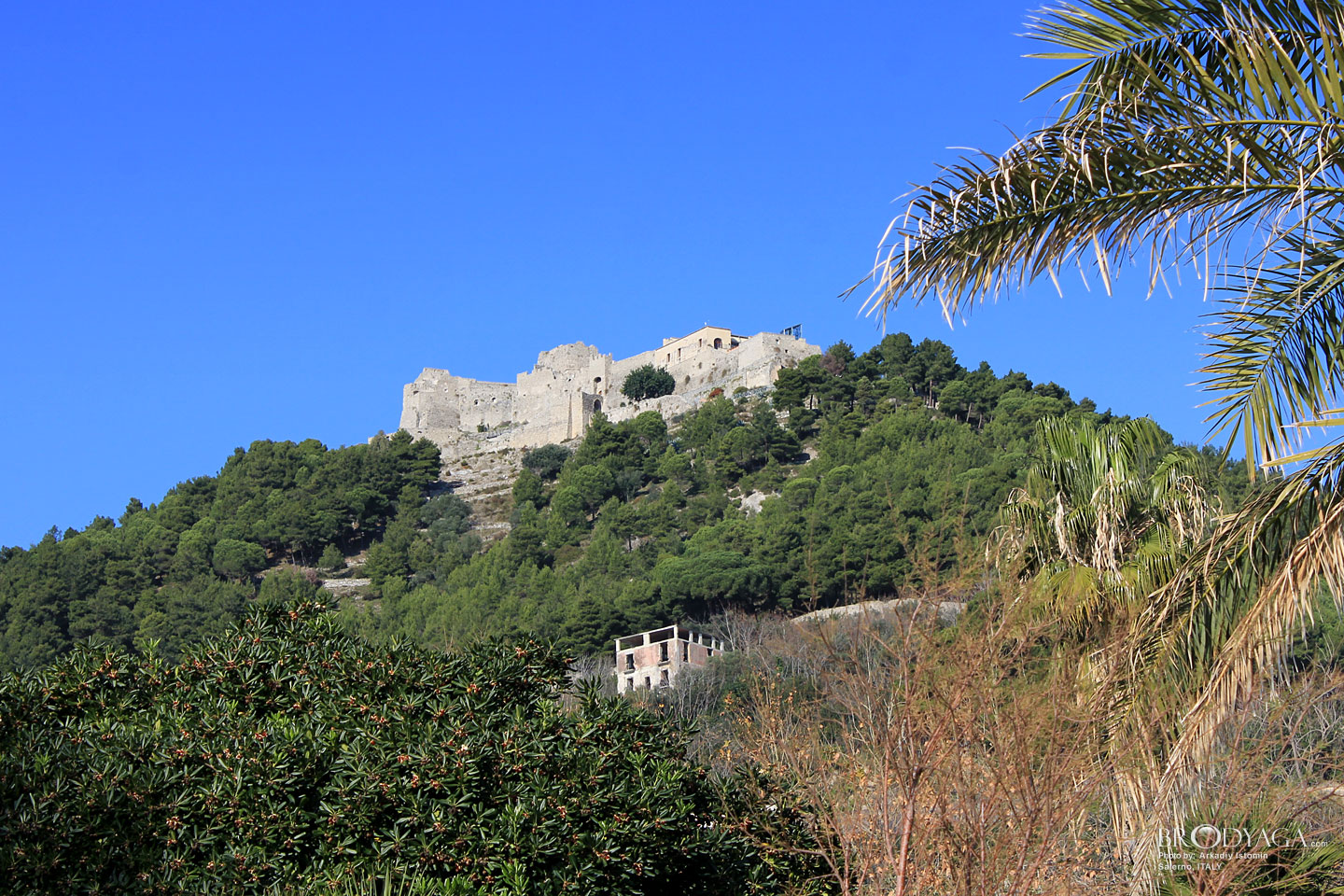 Salerno
